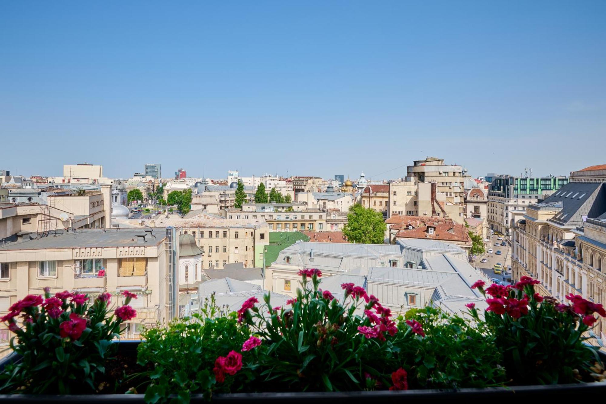 City View - Luxury Apartment A - Old City - Victoriei 布加勒斯特 外观 照片